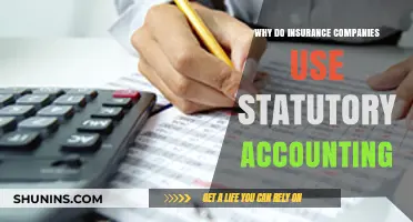 Why Insurance Companies Rely on Statutory Accounting Principles