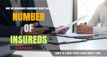 Why Insurance Companies Thrive on Large Numbers of Insureds