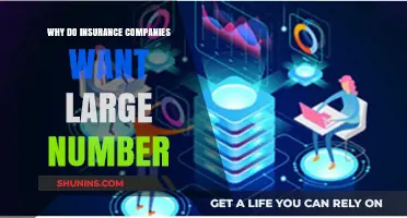 Why Insurance Companies Thrive on Large Numbers: The Power of Data
