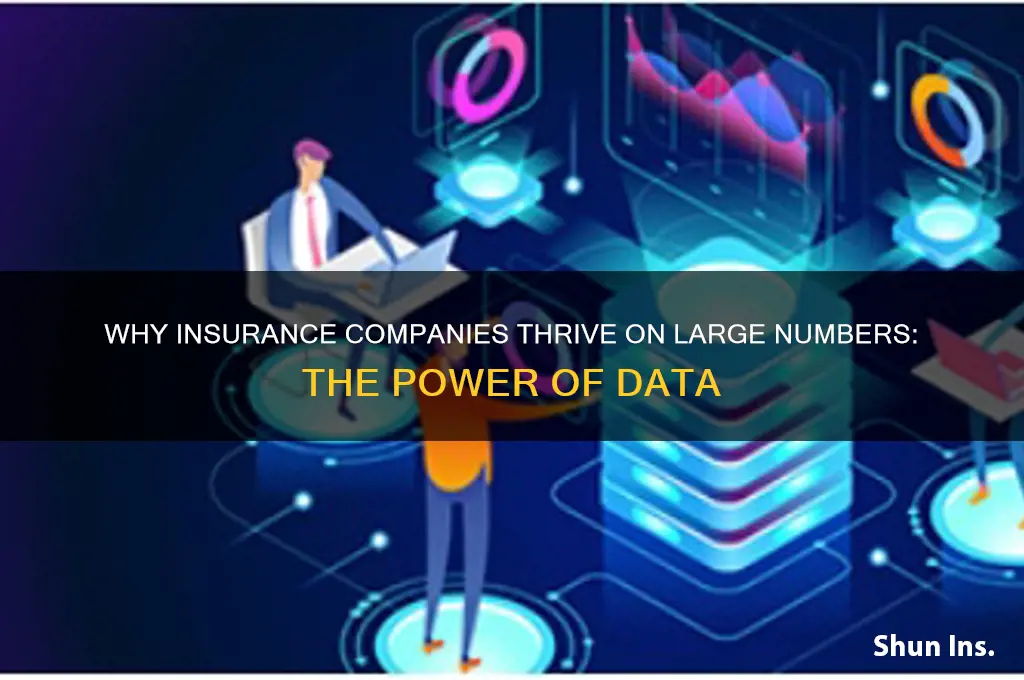 why do insurance companies want large number