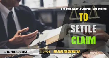 Why Insurance Claims Take So Long to Settle: Unraveling the Delays