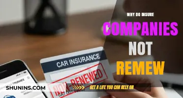 Why Insurance Companies Decline to Renew Policies: Key Factors Explained