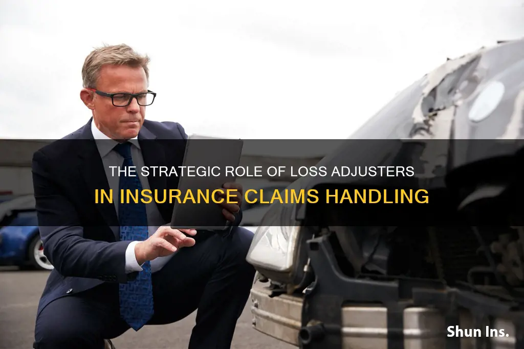 why do insurers appoint loss adjusters