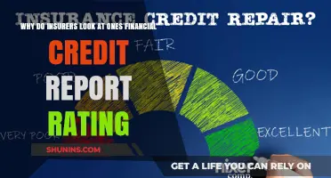 Insurers' Interest in Your Credit Report: What's the Link?