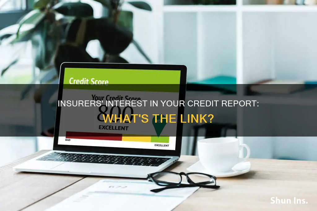 why do insurers look at ones financial credit report rating
