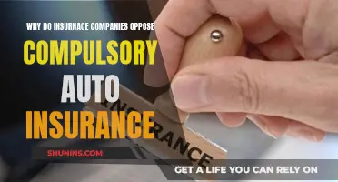 Auto Insurance: Compulsory Coverage Concerns for Insurance Companies