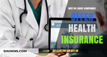 Why Large Companies Provide Health Insurance: Benefits and Strategies