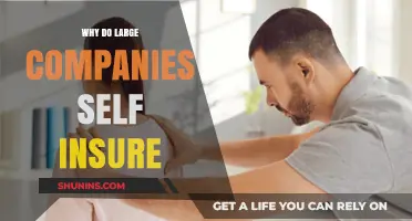 Why Large Companies Choose Self-Insurance: Benefits and Strategies