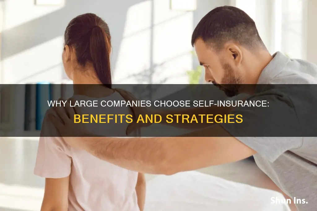 why do large companies self insure