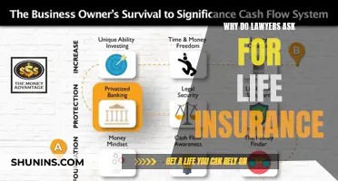 Life Insurance: A Lawyer's Essential Tool for Client Protection