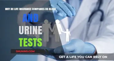 Why Life Insurance Companies Require Blood and Urine Tests