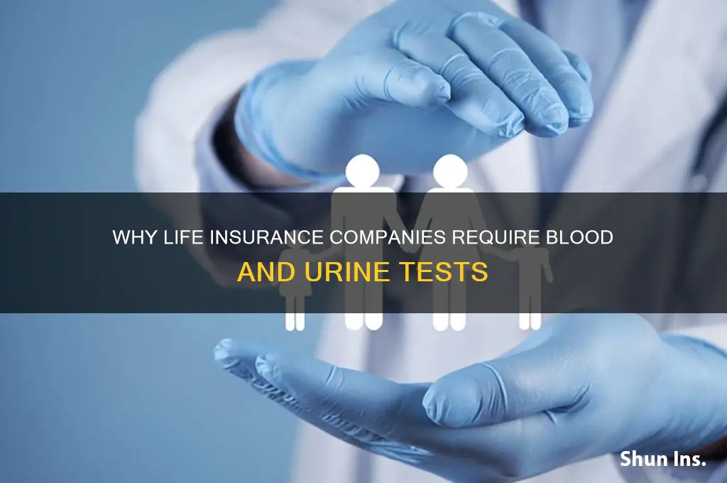 why do life insurance companies do blood and urine tests