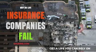 Why Life Insurance Companies Collapse: Key Factors and Lessons Learned