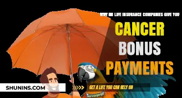 Cancer Bonus Payments: How Life Insurance Companies Support Policyholders