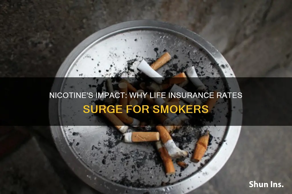 why do life insurance companies have higher rates for nicotine