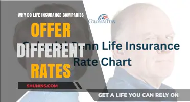 Why Life Insurance Rates Vary: Key Factors Explained