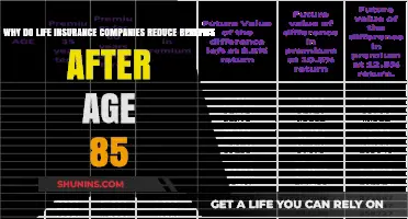 Why Life Insurance Benefits Decrease After Age 85: Explained