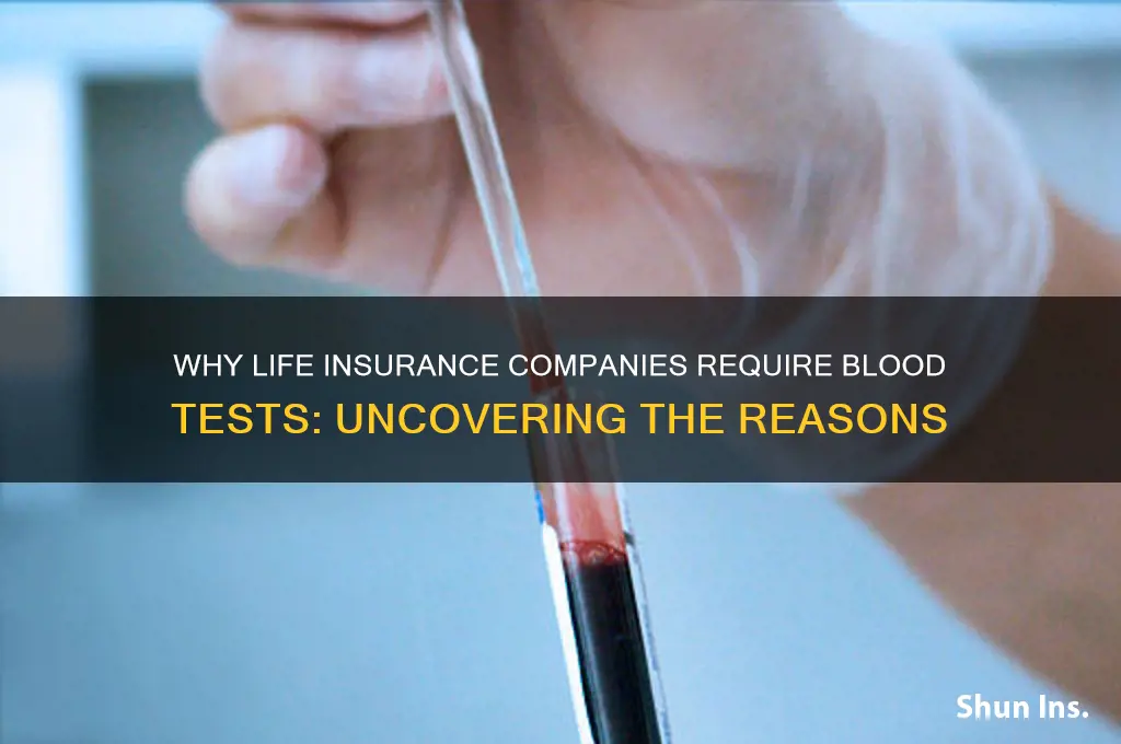 why do life insurance companies take blood