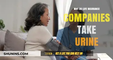 Why Life Insurance Companies Require Urine Tests: Uncovering the Reasons