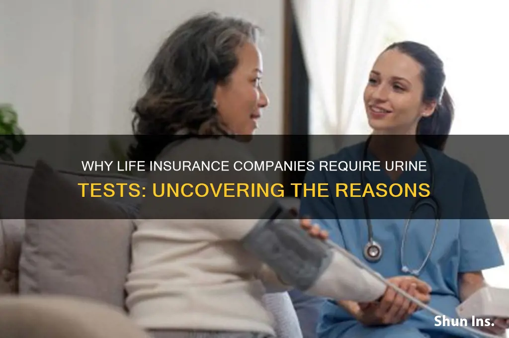 why do life insurance companies take urine