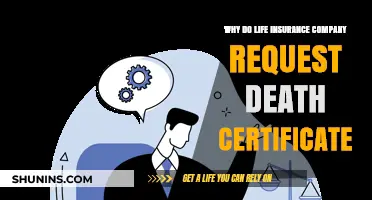 Why Life Insurance Companies Require Death Certificates for Claims