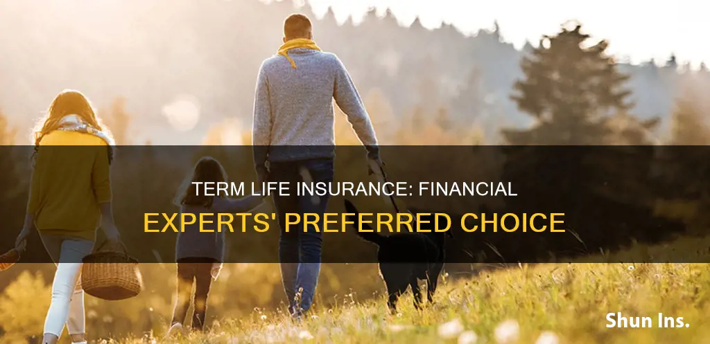 why do many financial experts prefer term life insurance