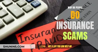 Insurance Scams: Why the Risk?