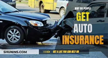 Auto Insurance: Protecting Your Vehicle and Your Peace of Mind