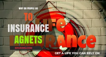 Insurance Agents: Your Guide to Peace of Mind