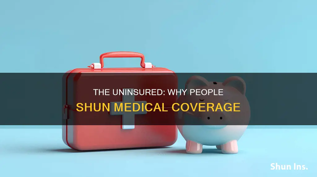 why do people not have medical insurance