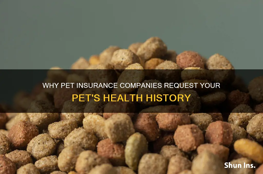 why do pet insurance company ask for best