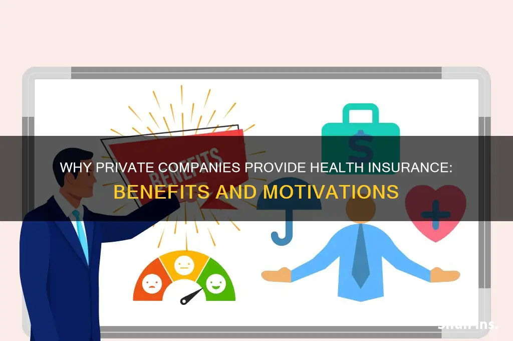 why do private companies offer health insurance
