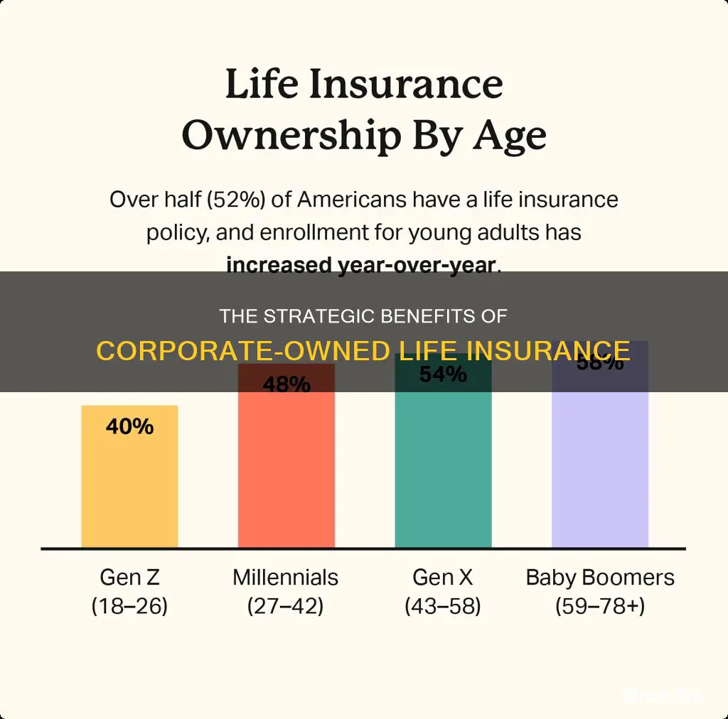 why do public corporations own permanent life insurance