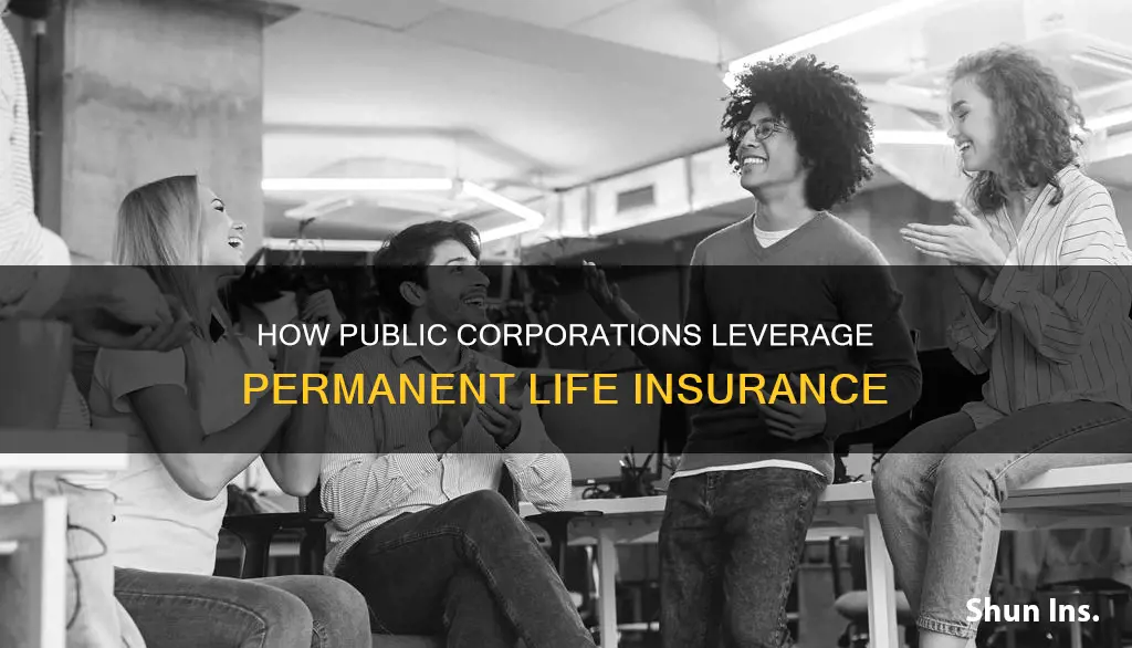 why do public corporations own permanent life insurance