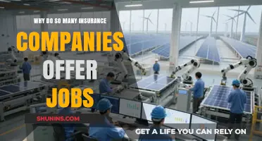 Why Insurance Companies Are Hiring: Exploring the Job Boom