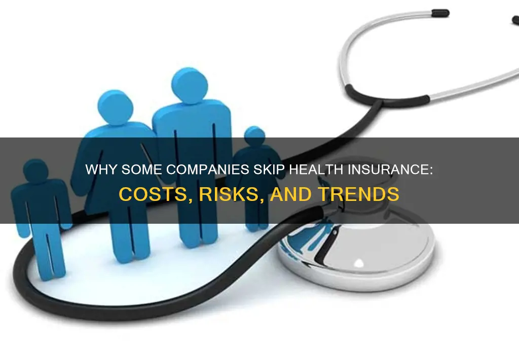 why do some companies not offer health insurance