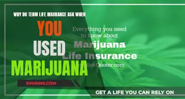 Unraveling the Mystery: Why Term Life Insurance Asks About Marijuana Use