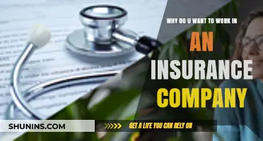 Why Choose an Insurance Career? Stability, Impact, and Growth Opportunities