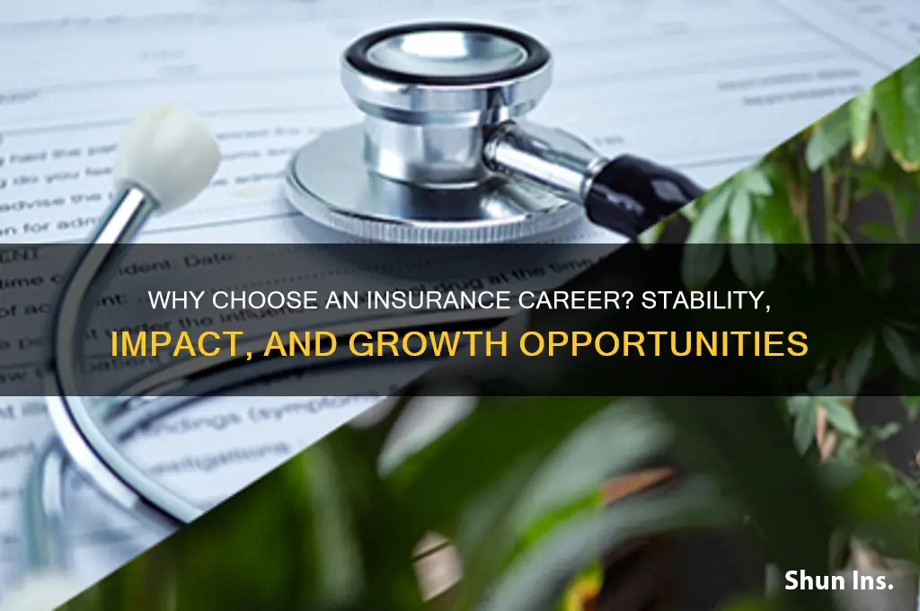 why do u want to work in an insurance company