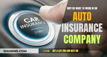 My Dream Career: Auto Insurance Company