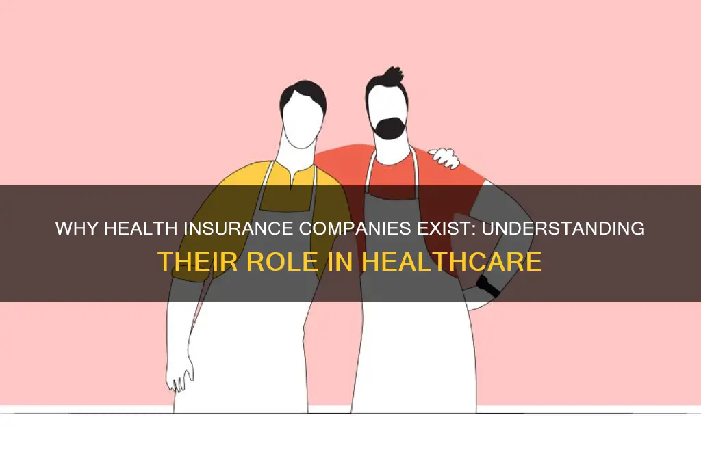 why do we have health insurance companies