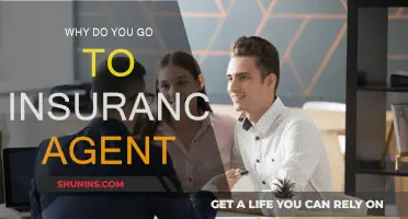 Insurance Agents: Expert Guidance for Your Peace of Mind