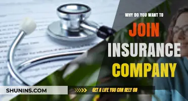 Why Joining an Insurance Company Could Be Your Best Career Move