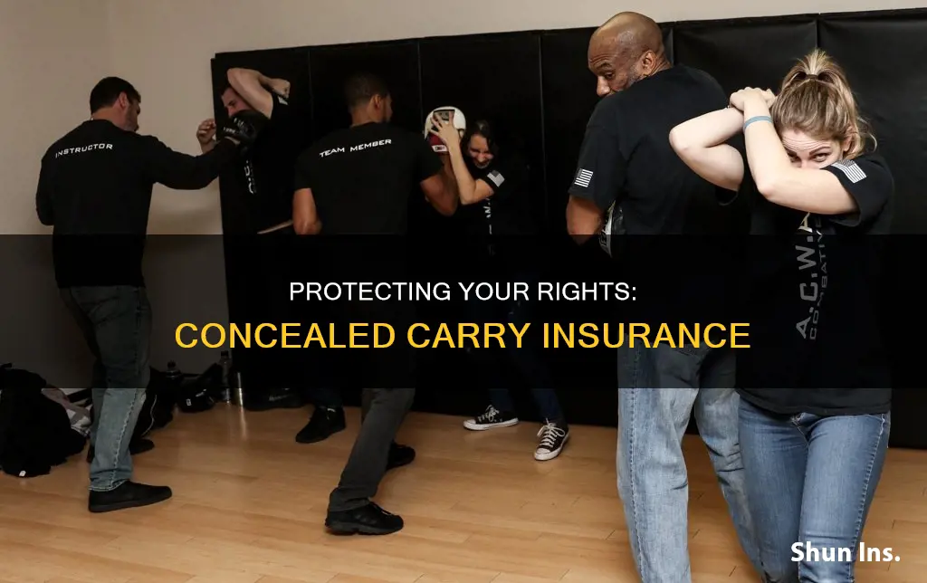 why do you wnatconcealed carry insurance