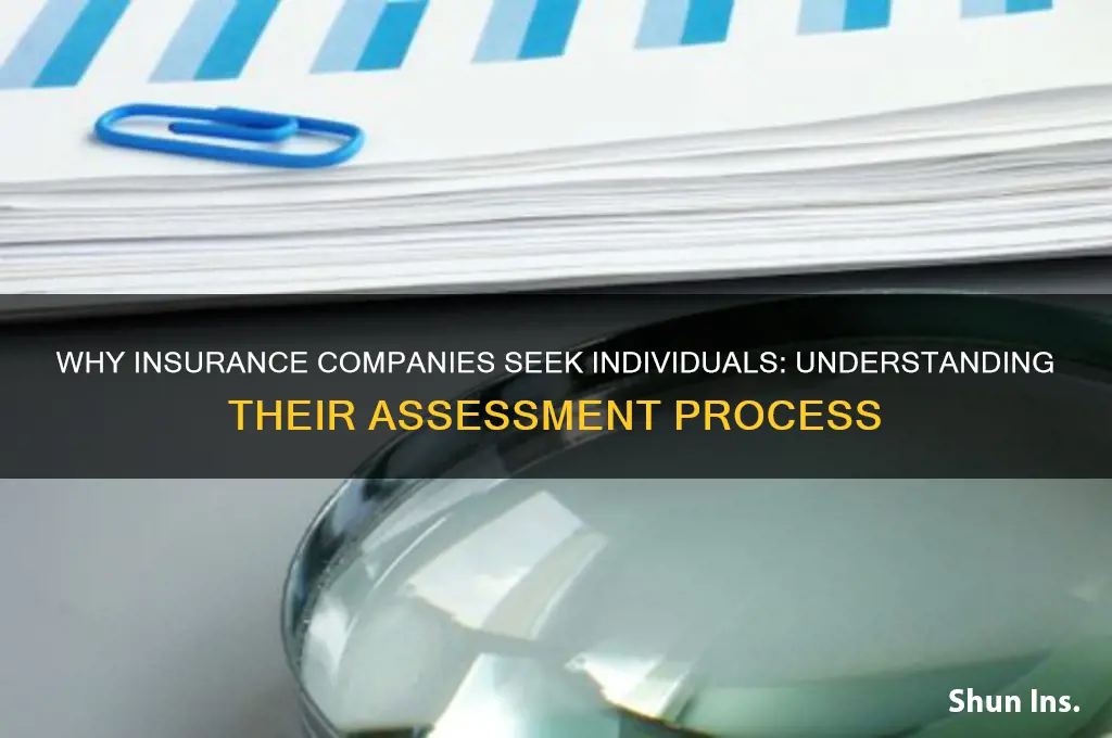 why does an insurance company look for an individual