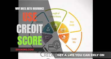 How Credit Scores Affect Auto Insurance Premiums