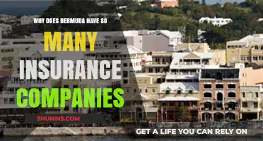 Why Bermuda's Unique Tax Laws Attract Global Insurance Companies