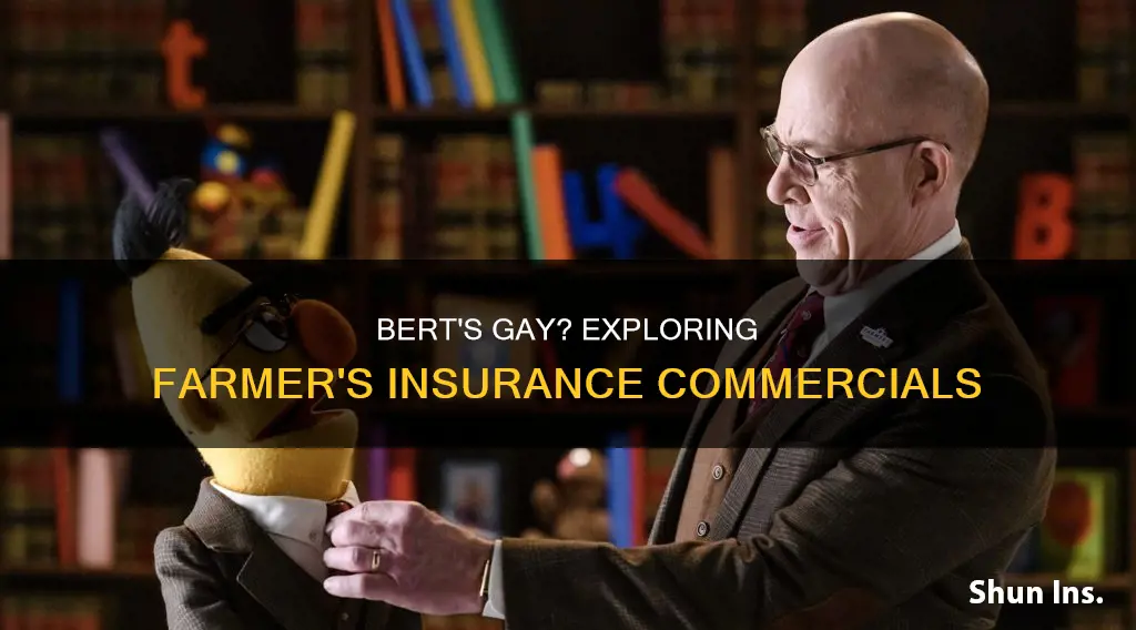 why does bert seem gay in farmers insurance commercials