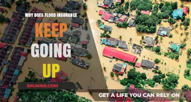 Flood Insurance: Rising Costs, Rising Waters