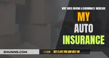 Roommates and Auto Insurance: What's the Connection?